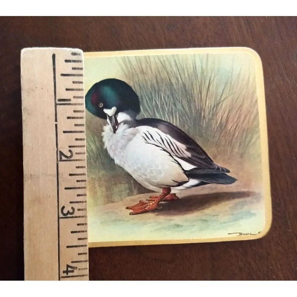 COASTERS Wild Duck Mallard Cork Back Basil Ede England Vintage Set of‎ 4 Barware